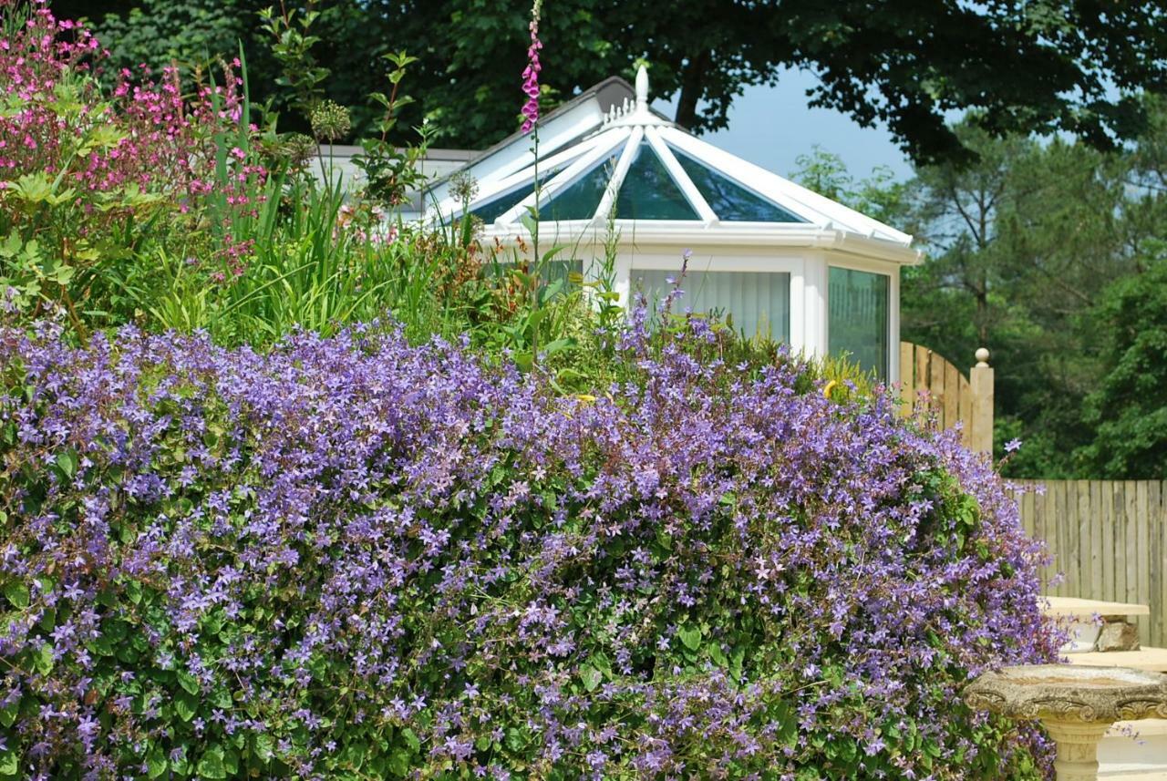 The Lodge, Polgooth Holiday home St Austell